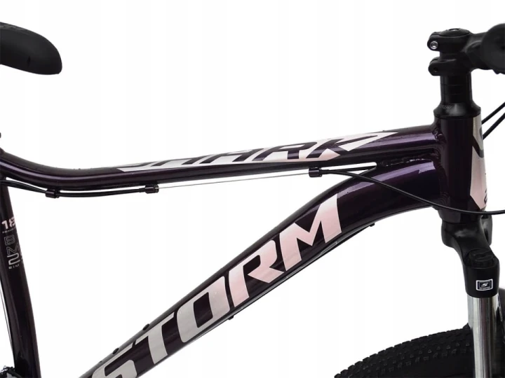 ROWER 29 1.0 STORM SHARK GÓRSKI MTB ALUMINIOWY 18'' FIOLETOWY ŚLIWKOWY 2