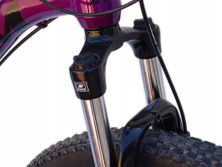 ROWER 29 1.0 STORM SHARK GÓRSKI MTB ALUMINIOWY 18'' FIOLETOWY ŚLIWKOWY 5