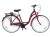 ROWER MIEJSKI STORM BARCELONA 28/3 NEXUS BORDOWY POŁYSK 19'' DAMKA 1