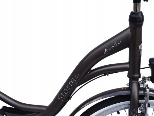 ROWER MIEJSKI STORM BARCELONA 28/3 NEXUS ZŁOTY GRAFIT 19'' 2