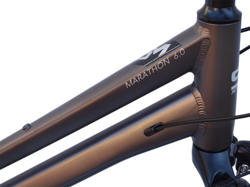ROWER STORM MARATHON 6.0 DAMSKI RAMA 19'' TREKINGOWY GRAFITOWY ZŁOTY 2