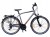 ROWER STORM MARATHON 6.0 MĘSKI RAMA 21'' TREKINGOWY GRAFIT ZŁOTY 1