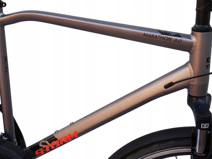 ROWER STORM MARATHON 6.0 MĘSKI RAMA 21'' TREKINGOWY GRAFIT ZŁOTY 4