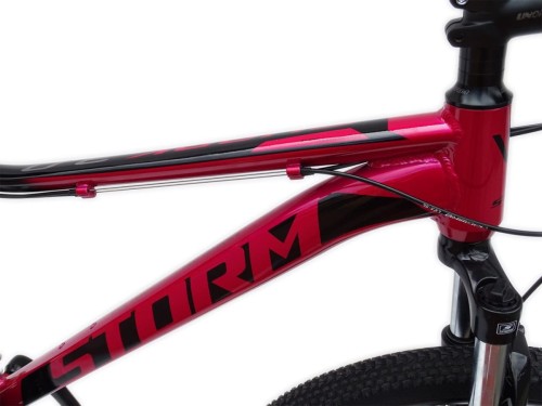 ROWER 29 STORM SHARK GÓRSKI MTB ALUMINIOWY 17'' BORDOWY WERSJA LIMITOWANA 2