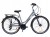 ROWER STORM MARATHON 2.0 DAMSKI RAMA 19'' SREBRNY ALUMINIUM DYNAMO W PIAŚCI 1