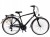 ROWER TREKINGOWY 28 MĘSKI STORM MARATHON RAMA 19''GRANAT 1